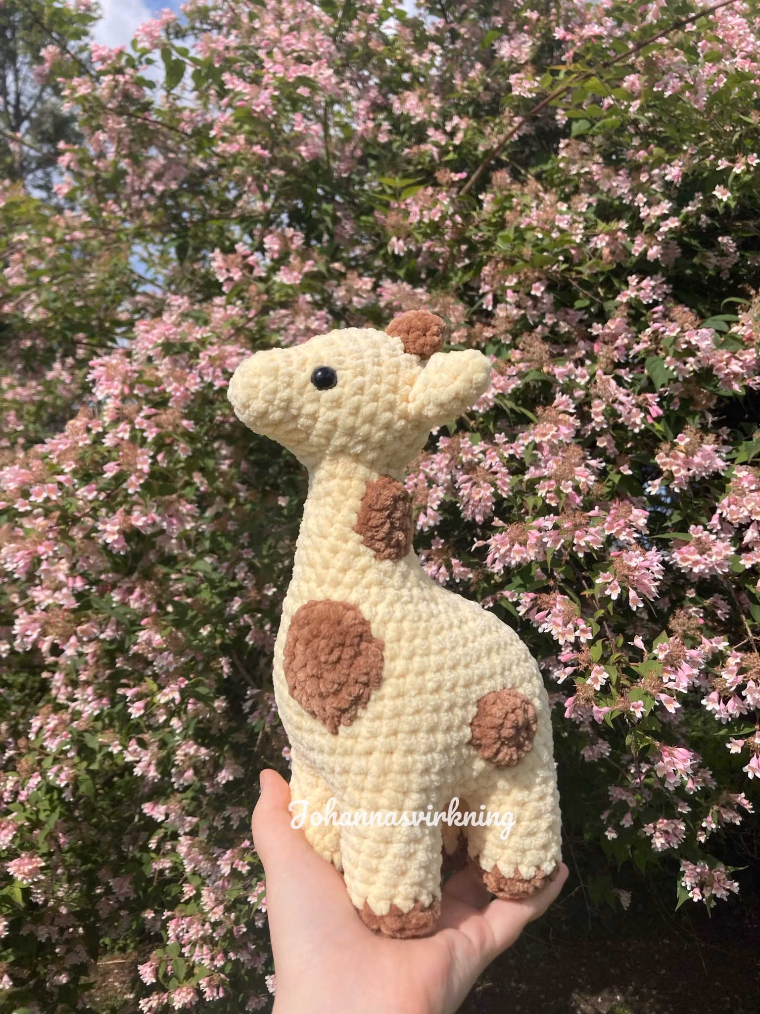 Giraff