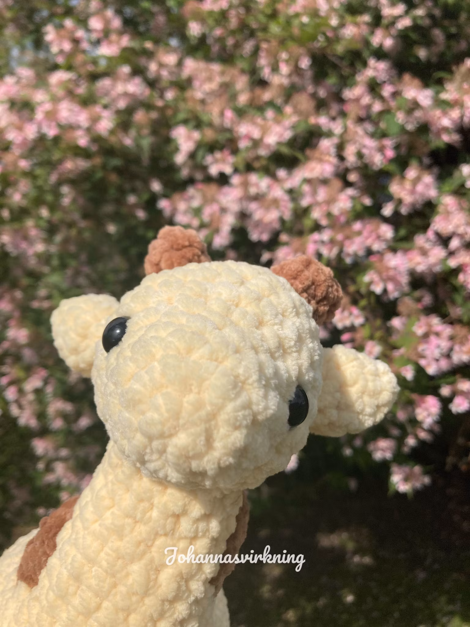 Giraff
