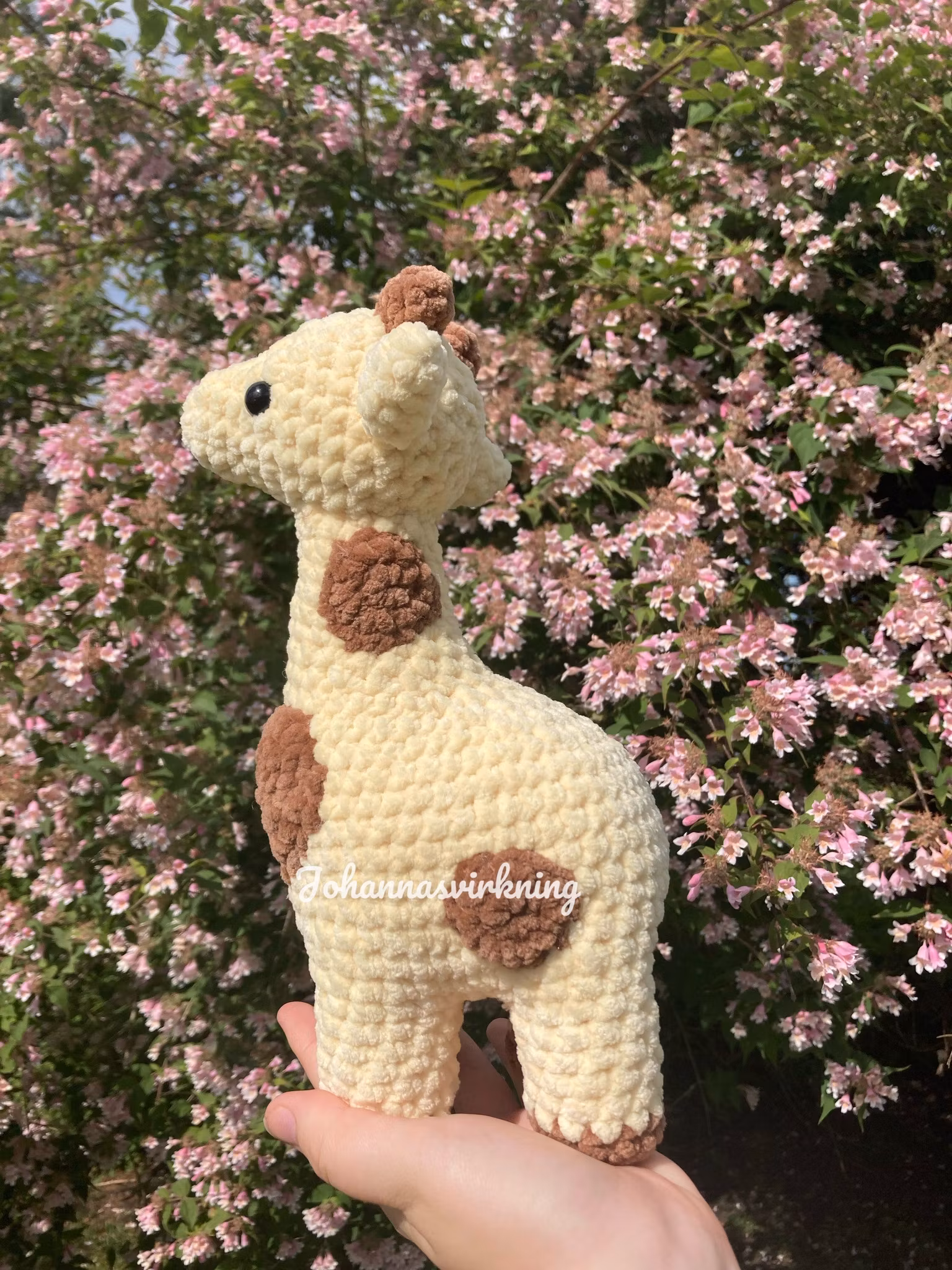 Giraff