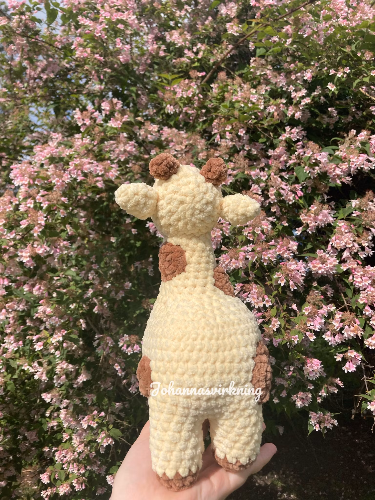 Giraff