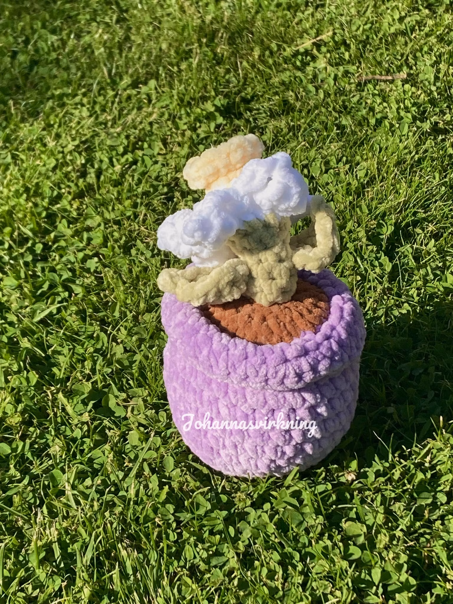 Påsk lilja