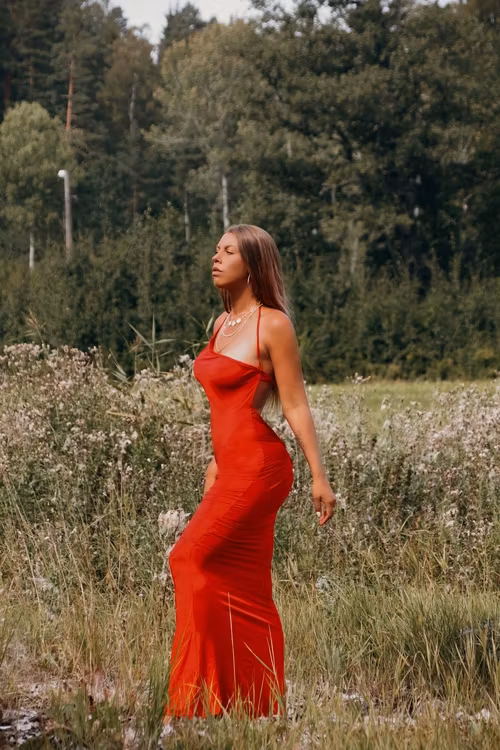 Angelica Dress Red
