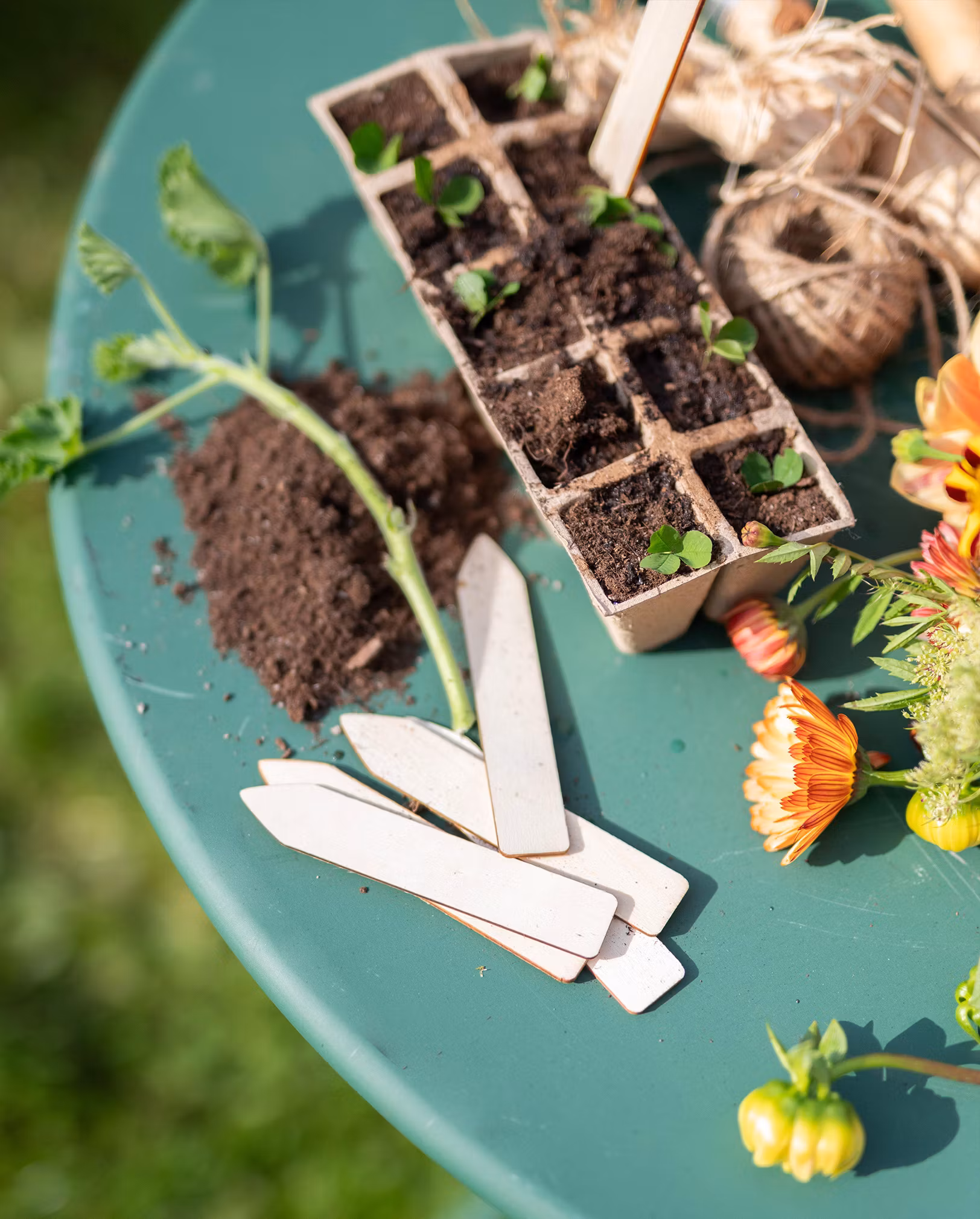 TRÄDGÅRDSSKYLTAR - Mixade Naturträ 10pk