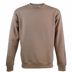 Sweatshirt Tröja Herr - Beige