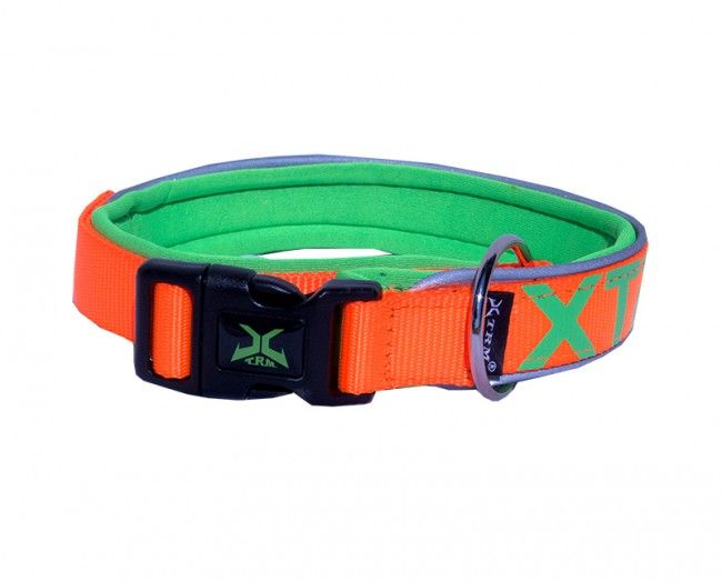 Hundhalsband XTRM Orange/Grön