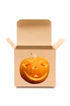 Crazy Pumpkinbox 4