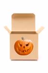 Crazy Pumpkinbox 10