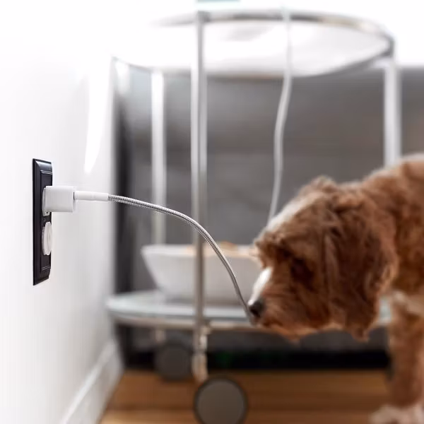 Fuse Chicken Titan Lightning 50cm silver hund tuggar