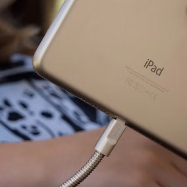 Fuse Chicken Titan plus Lightning 150cm guld laddar iPad