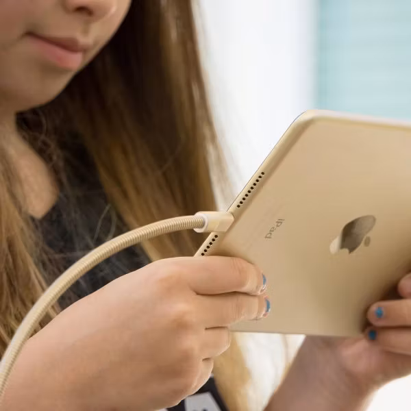 Fuse Chicken Titan plus Lightning 150cm guld laddar iPad