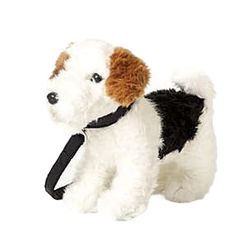 Jack russel med koppel