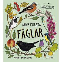 Bok - Mina första fåglar