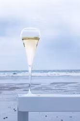 Chef & Sommelier Open Up Champagne Effervescent glas 20 cl. 6-pack