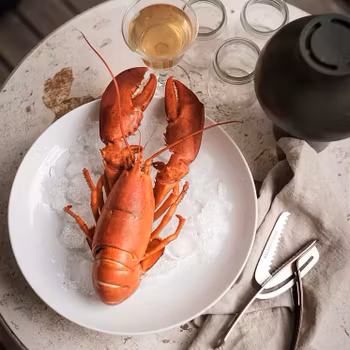 Drosselmeyer Skaldjurstång knäckare Caretta Rostfritt stål