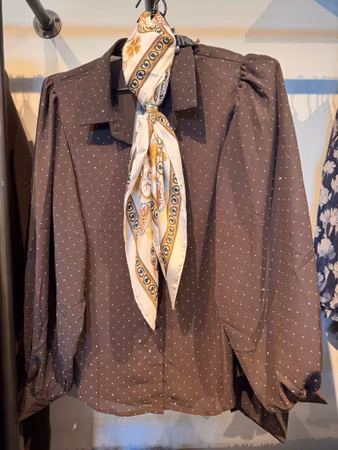 Glittrig skjortblus brun