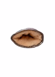 Paloma vantar mocca