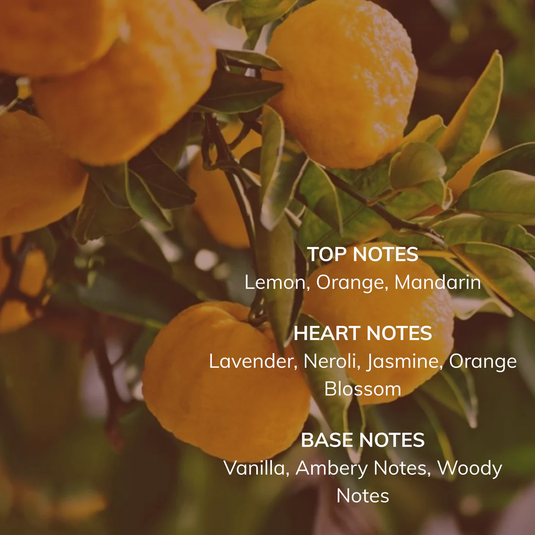 Nuanzes parfym early june