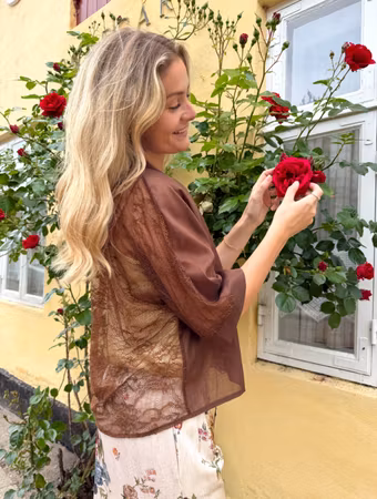 Carla lace shirt brun