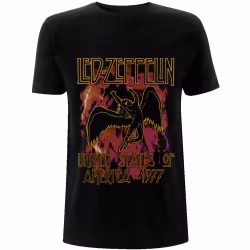 LED ZEPPELIN: Black Flames T-shirt (black)