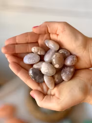 Blomsteragat Trumlad