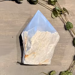 Angelit Base Cut Spets