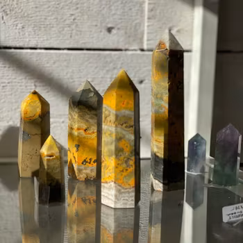 Bumblebee Jasper Torn