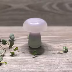 Svamp Regnbågsfluorit