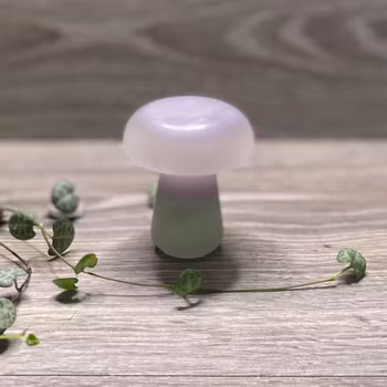 Svamp Regnbågsfluorit