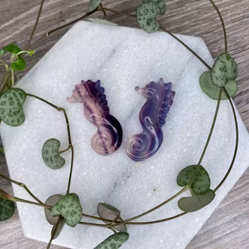 Regnbågsfluorit Sjöhäst Mini