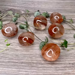 Red Golden Healer (Röd Hematoid) Cuddle