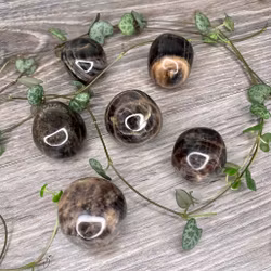 Svart Månsten Cuddle