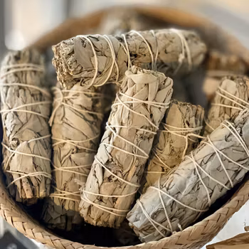 Vit Salvia - Smudge, Liten