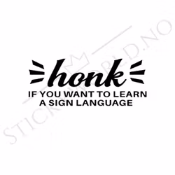 Honk If You Want To Learn A Sign Language
