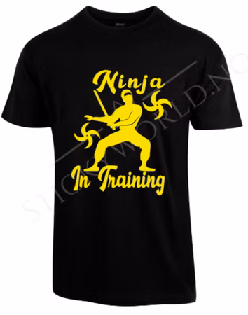 Ninja In Training
