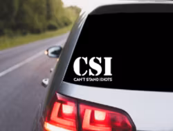 Can't Stand Idiots