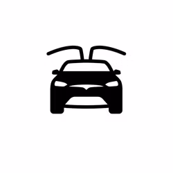 Model X