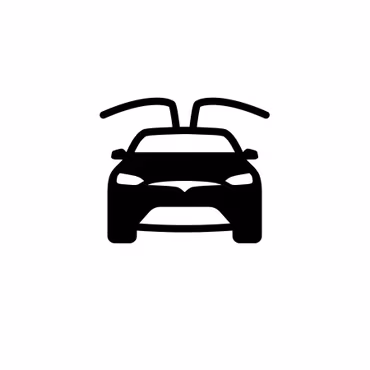 Model X
