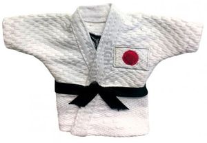 Mizuno Judo Gi