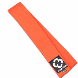 Budo-Nord Kyubälte Orange