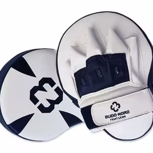 Budo-Nord Fight Gear Focus Mitts Par