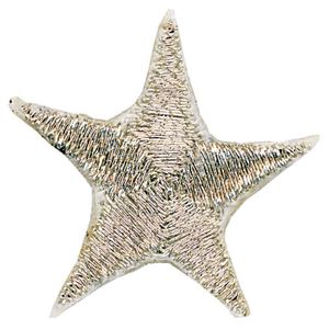 Tygmärke Ninjutsu Stjärna Silver