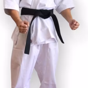 Butoku Full Contact Karate Gi
