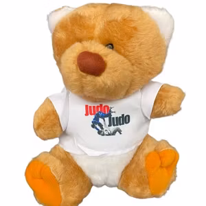 Nalle Judo Kast