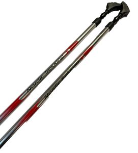 Nordic Trekking Gå stavar