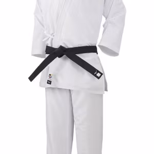 Mizuno Toshi WKF