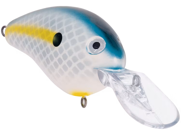 Livingston Dive Master 20