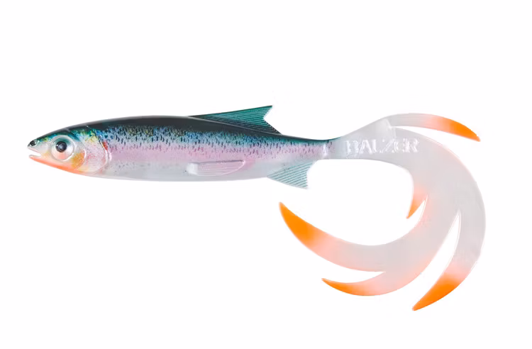 Reptile Shad