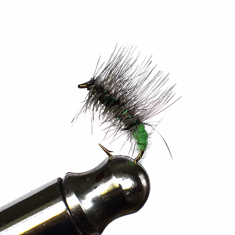 Surpuppa purple / green butt torr fluga