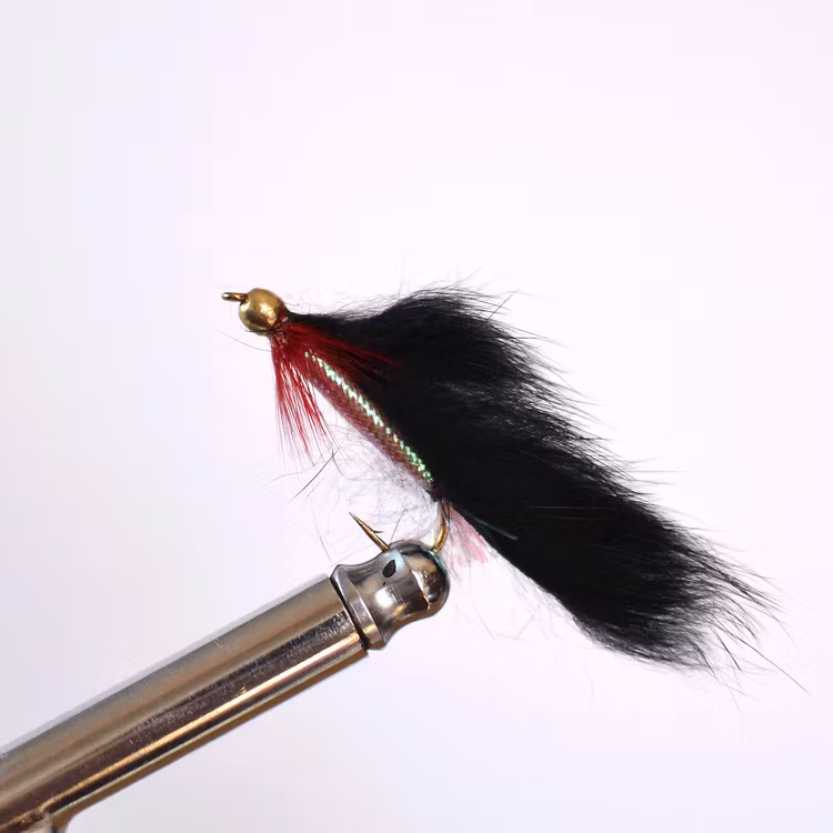 BH Zonker Black