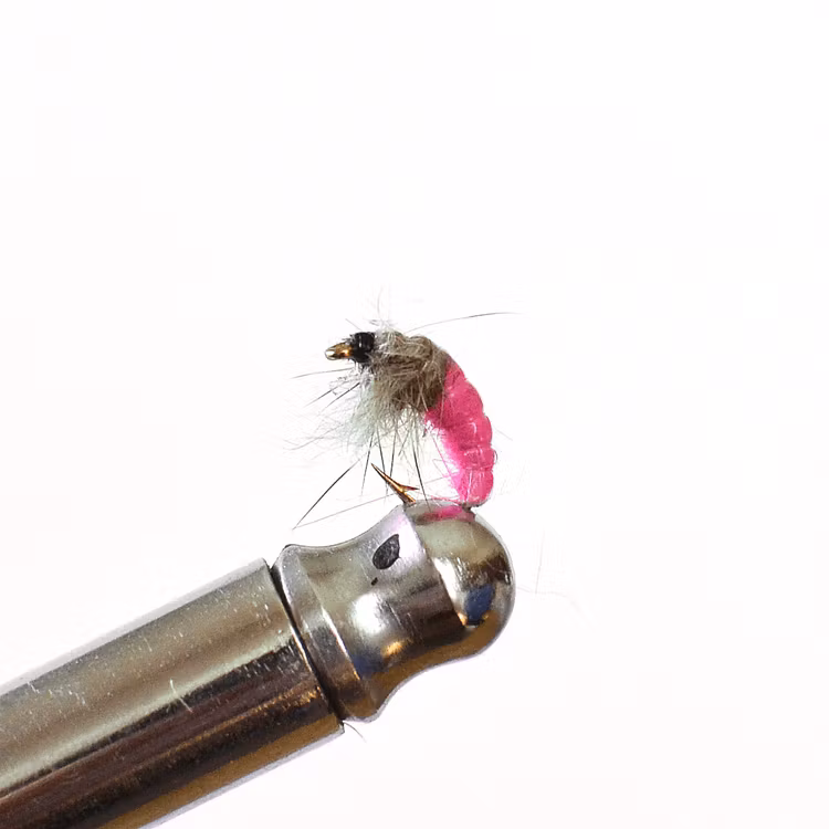 Czech Nymph Pink